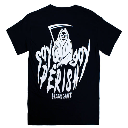 Say Gay or Perish Tee